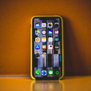 aplikasi survey berbayar